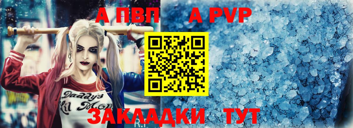 Alfa_PVP СК Гатчина