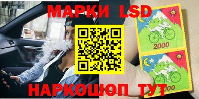 шишки Беслан