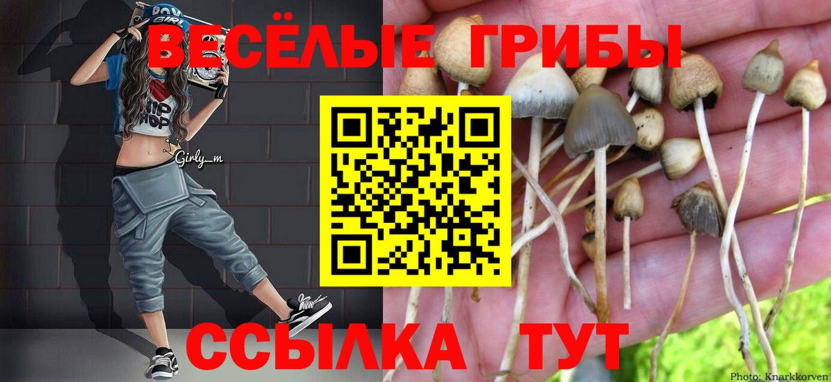 Псилоцибиновые грибы мицелий  Вход с VPN  Галлюциногенные грибы мухоморы  Гатчина 